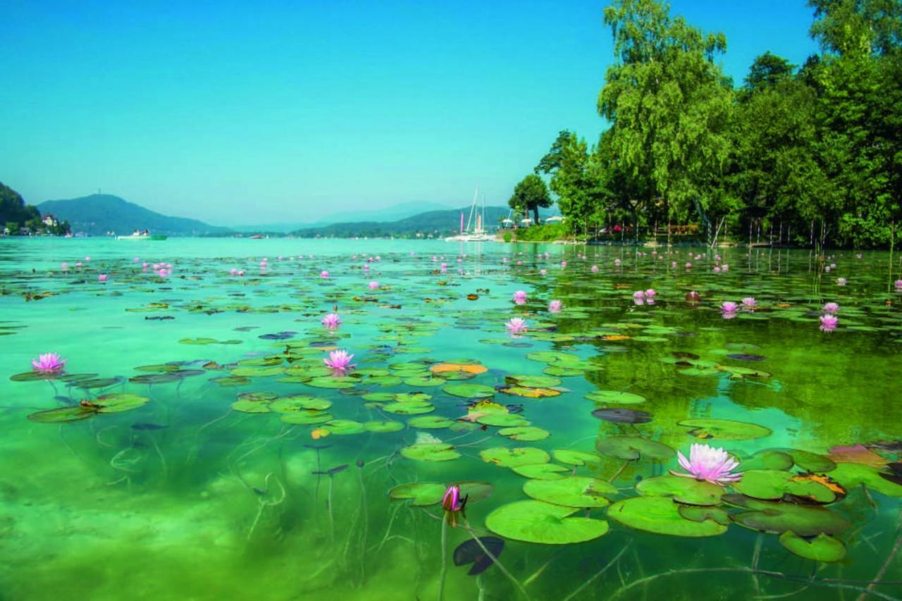 Studios Klagenfurt Клагенфурте Экстерьер фото